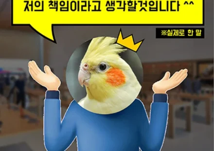 빅서게이트_앵무새